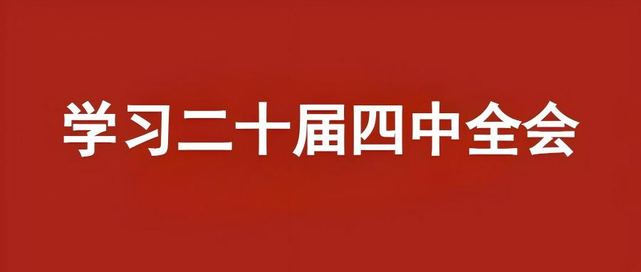 学习二十届四中全会