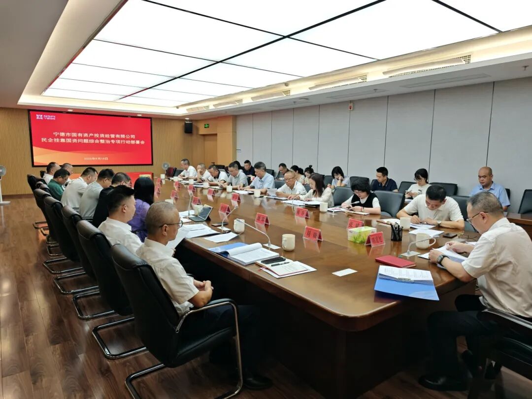 【国投资讯】市国投公司召开民企挂靠国资问题综合整治专项行动部署会